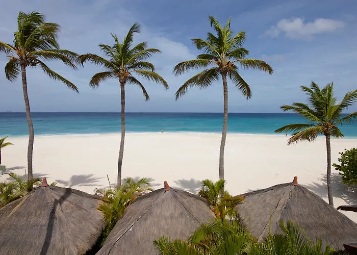 Manchebo Beach Resort And Spa Palm Beach